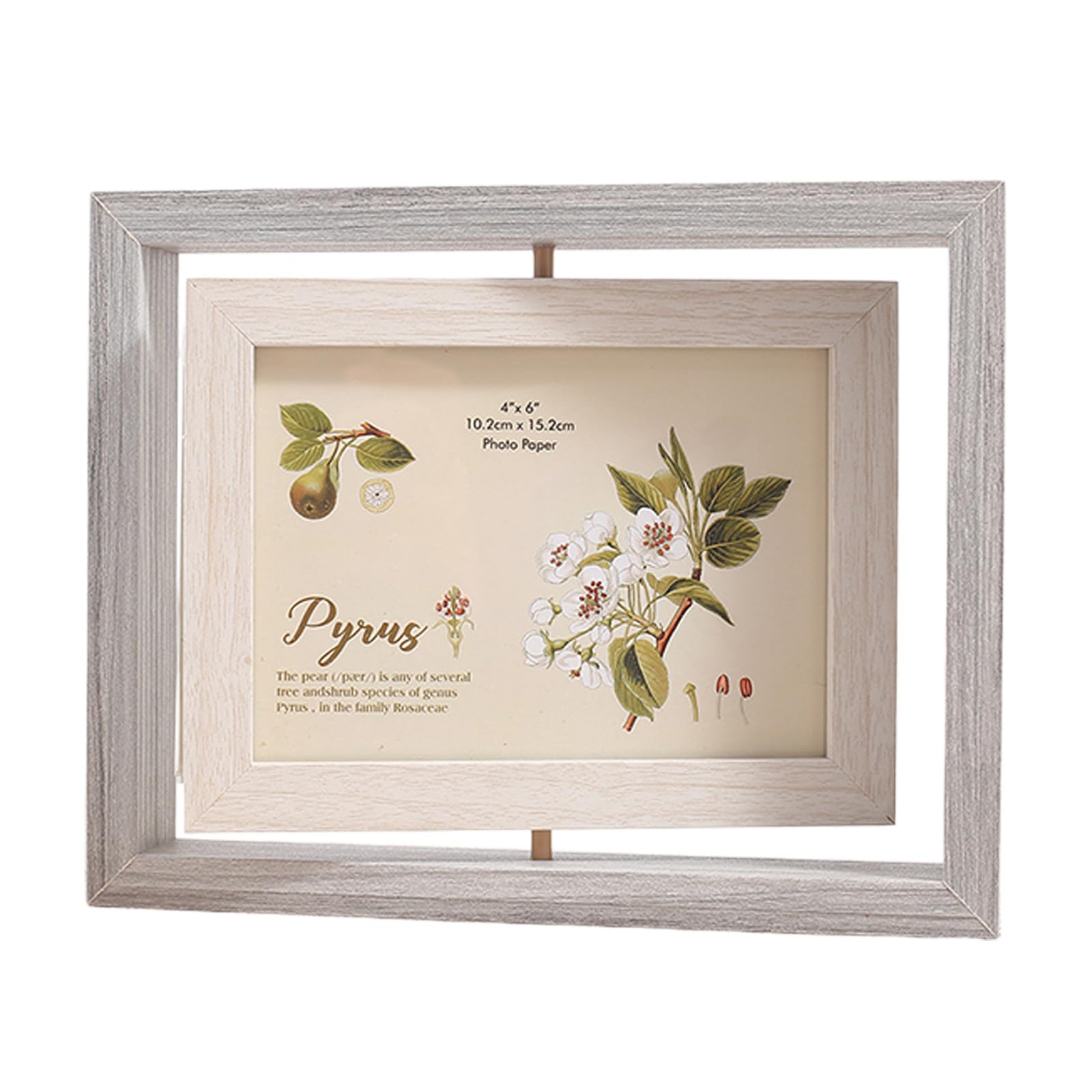 Exquisite Swivels Photo Holder 6 Inch with Double Display for Multiple Pictures Double Display Photo Frame Stand
