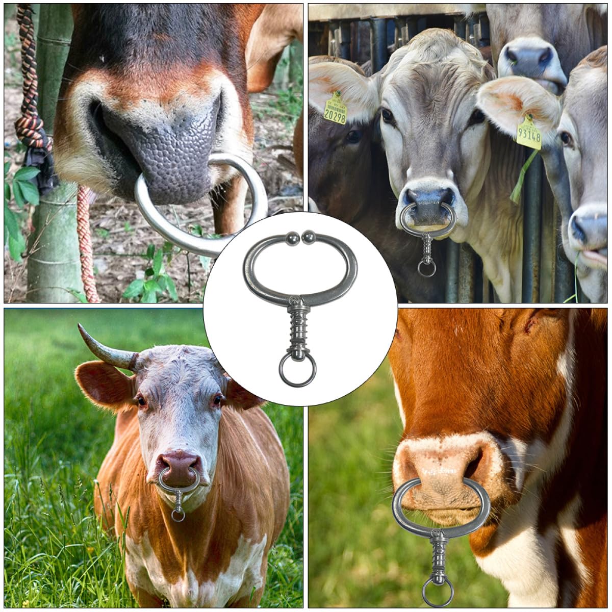Anello Nasale in Acciaio Inox per Bovini Pinza a Becchi Spessi