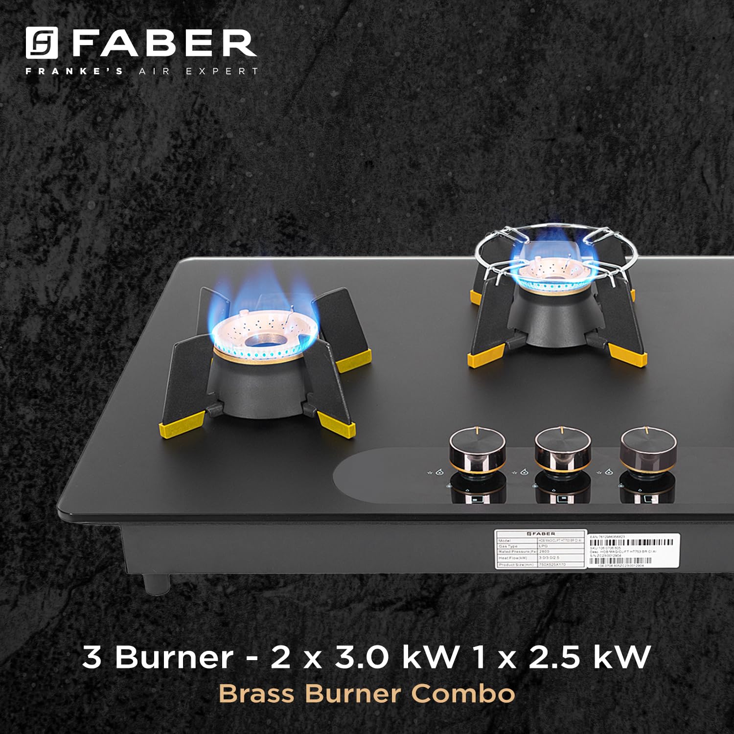 Flame Failure Device Detail