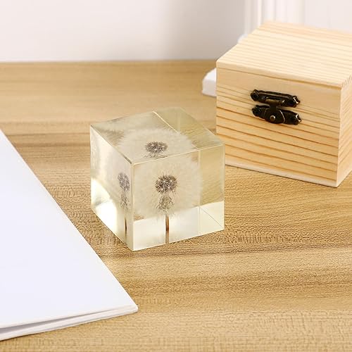 Miniatura 8 de ARTIBETTER Estatua de espécimen de hojaldre real de diente de león 3D en cubo de cristal de cristal, adorno de escritorio, decoración Fengshui para