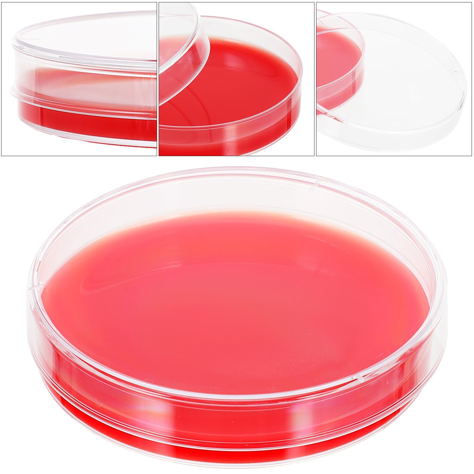 Placas de Agar Sangre Selectas 70 MM 10 Unidades Medio de Cultivo Laboratorio Placas Petri Cultivo Microbiológico Uso Hospitalario y Científico