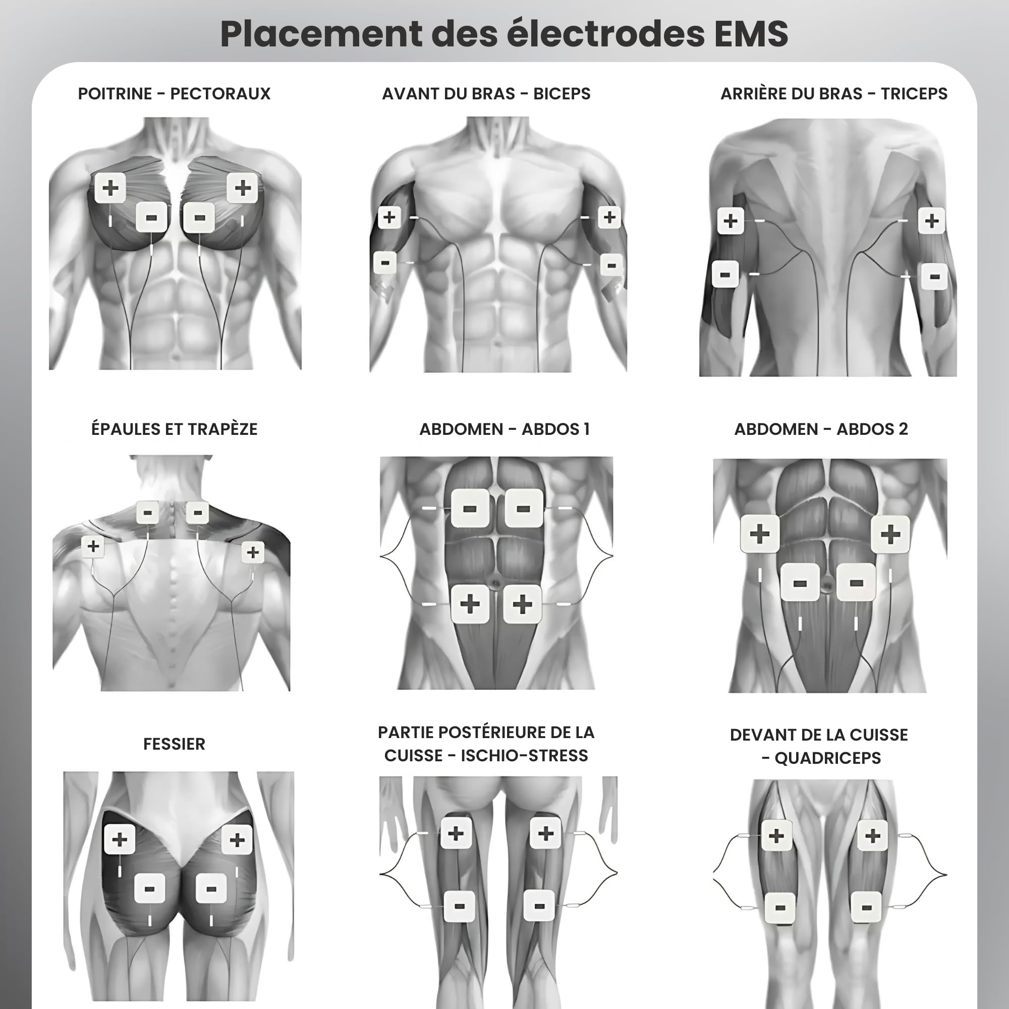 Tenscare Perfect Ems Appareil De Musculation/Soulagement De La Douleur