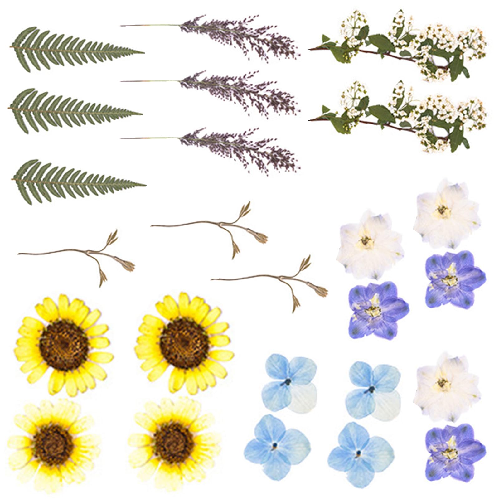 Jazuaiao 18Pieces Dried Flower Art Supplies for Cards Creative and Permanent Plant Displays Dry Flower