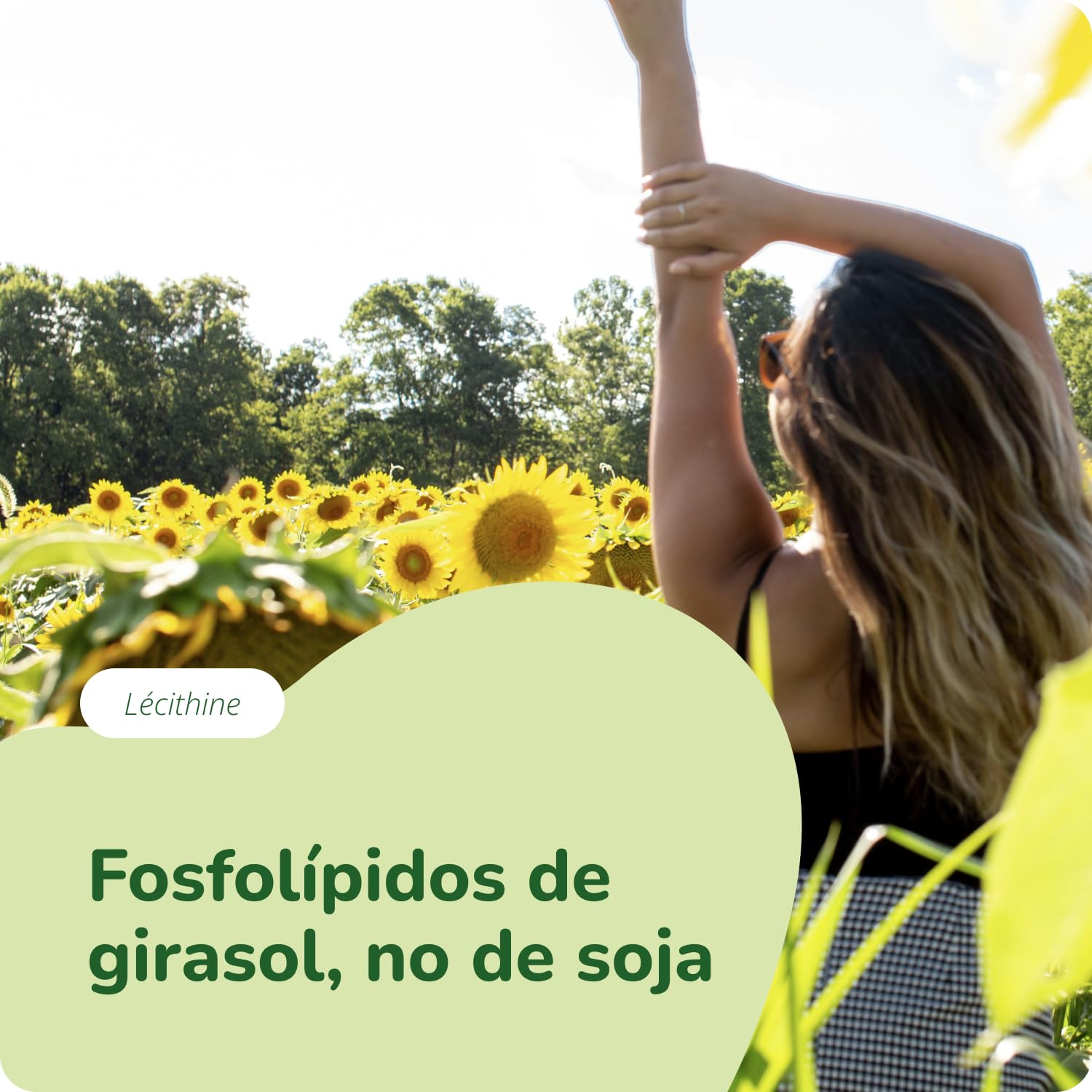 Lecitina de Girasol | 1800 mg de Sunflower Lecithin| Circulación| Vegano & Sin Aditivos| Probado en Laboratorio | Vegavero