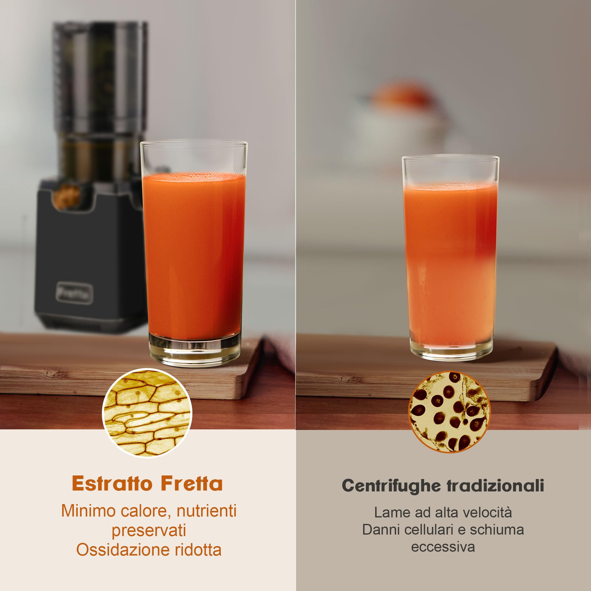 Fretta Estrattore frutta e verdura, Estrattore di Succo Lento, 135mm,1.8L, Facile da Pulire, BPA Free, Motore Silenzioso, Funzione Inversione, Nero