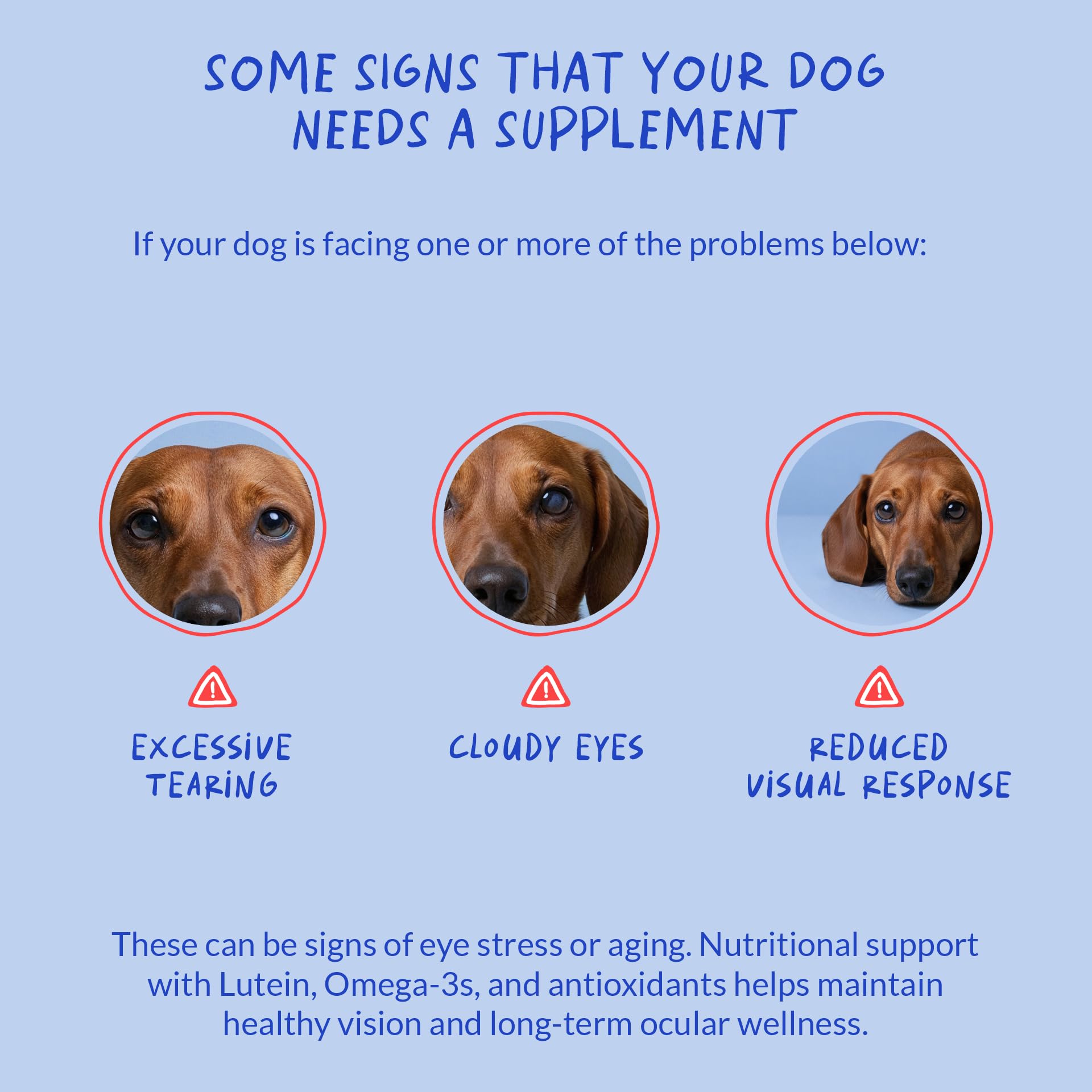 Dog Eye Vision Supplement for Tear Stain, Dry Eye & Antioxidant Support — Amazon image 5