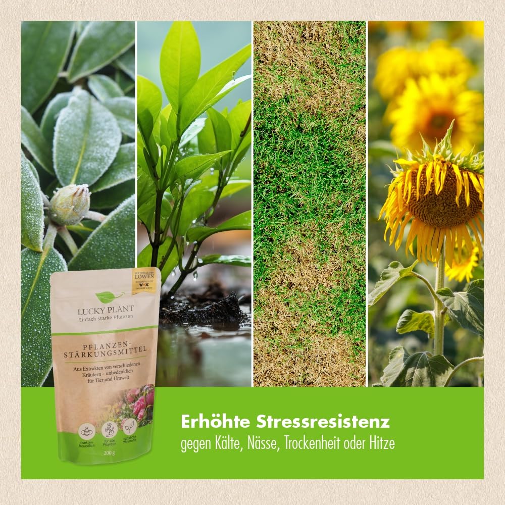 LUCKY PLANT Plant Strengthening 200 g Powder, Stronger Plant Growth &  Longer Flowering Time, Indoor Plants, Shrubs, Lawn, Fruit, Vegetables, Safe  for ...