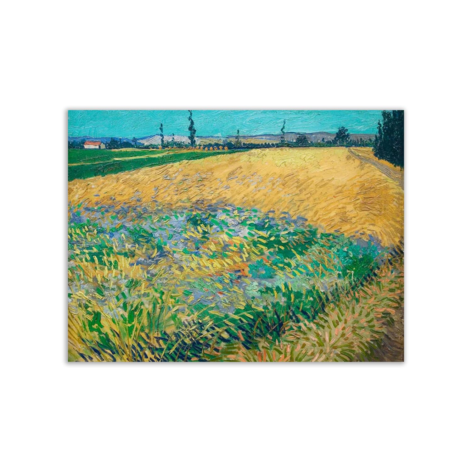 Poster Vincent Van Gogh Wheatfield impression sur papier de qualité format rectangulaire 80x60 cm