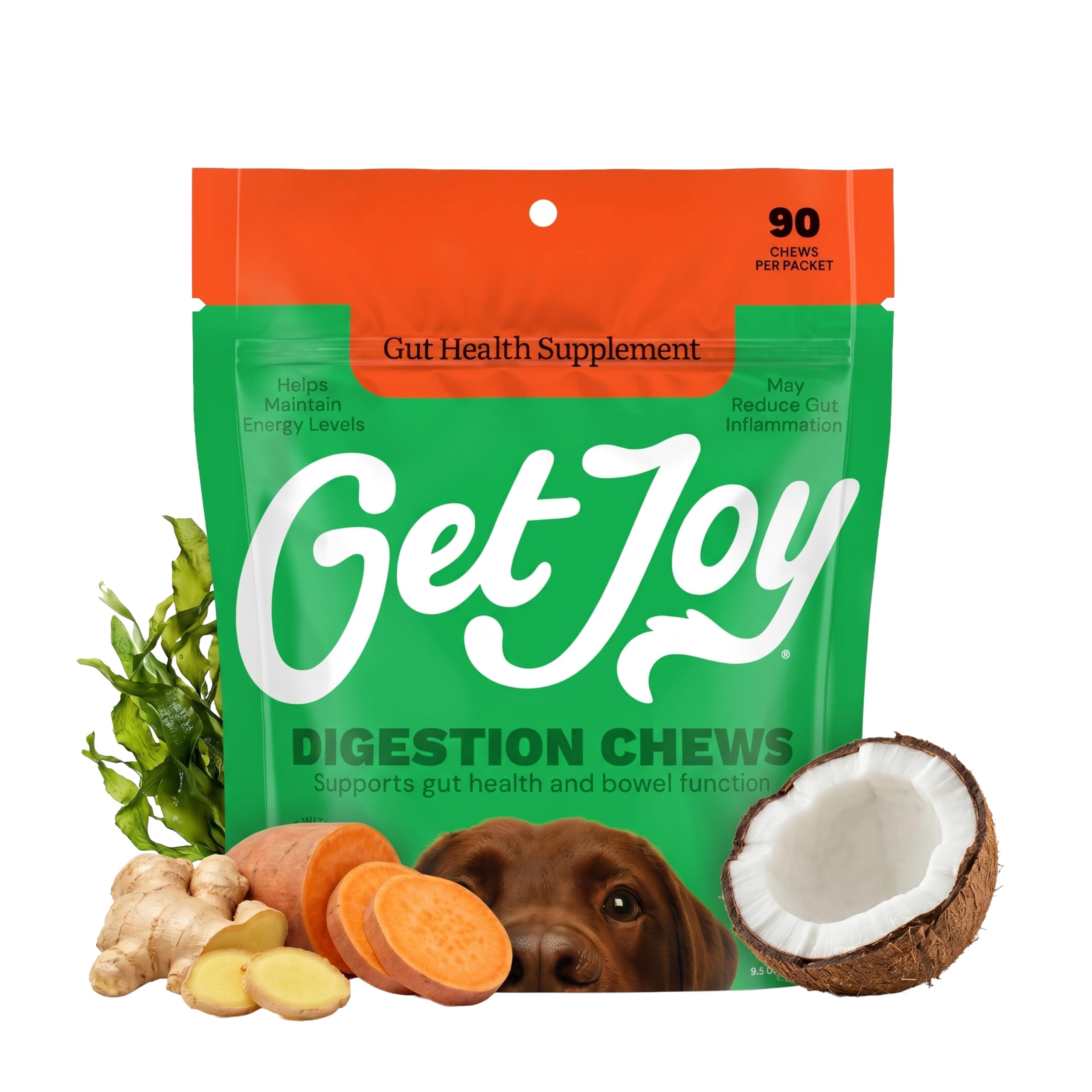 Get Joy Probiotics for Dogs Gut Health, Digestive Chews, Chicken, 90ct | Soft daily chew dogs take like a treat. Vet formulated, made in the USA, for adult and senior dogs of every size., Digestion, Digestion