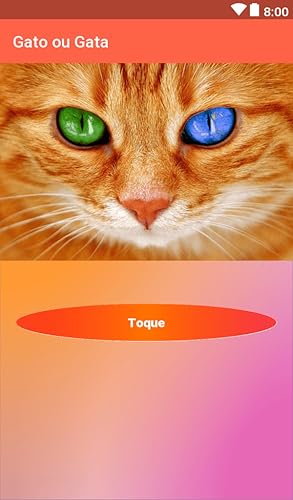 Gato ou Gata