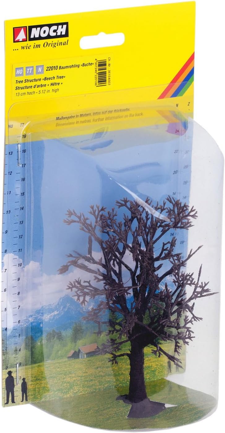 Noch 22010 Tree Structure Beech Landscape Modelling
