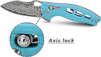 Vista 4 de ALBATROSS Cool Flipper Axis Lock - Cuchillo de bolsillo plegable de apertura con hoja de acero de Damasco moderna de 3 pulgadas y mango FRN de alta