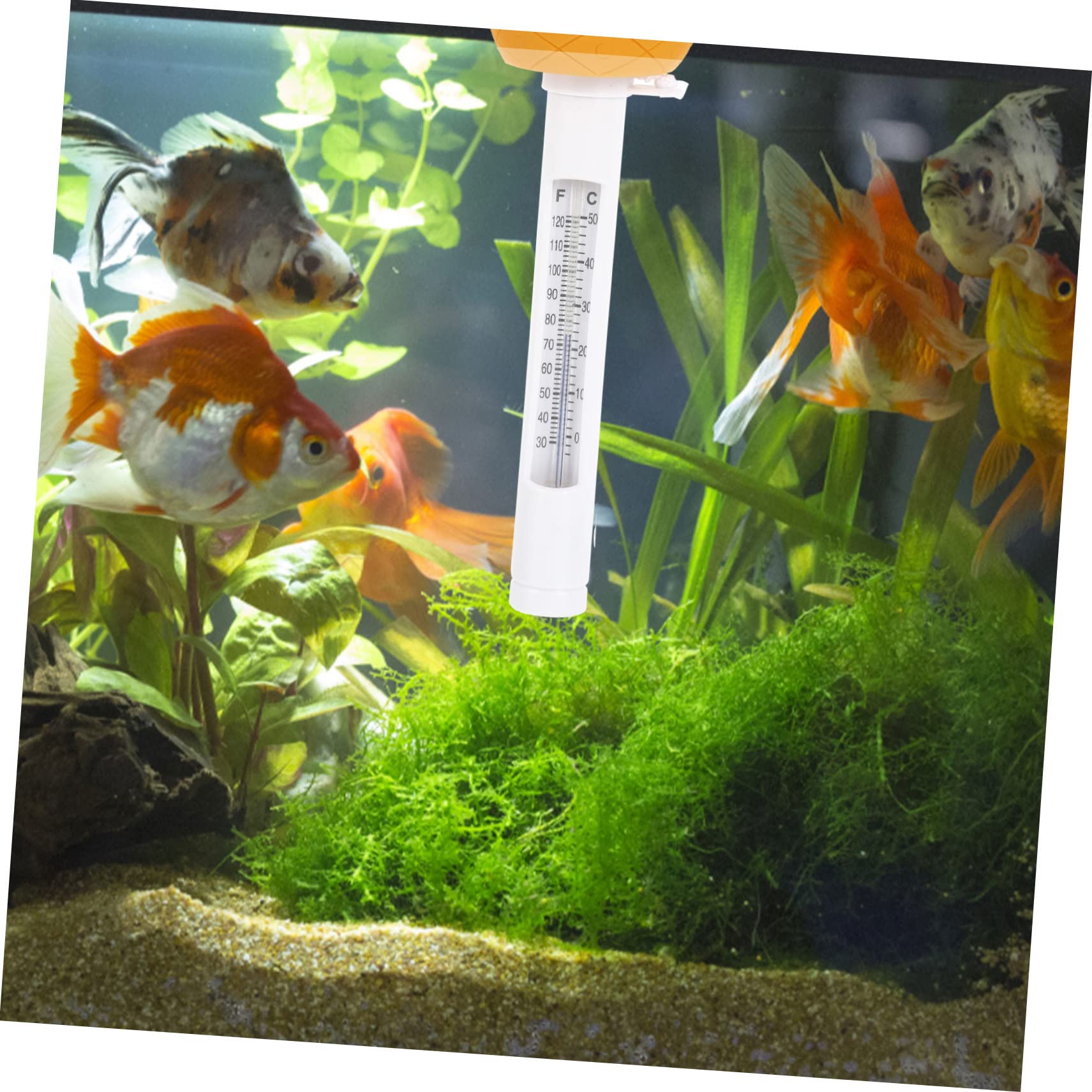 Sosoport 2pièces Thermomètre Flottant Forme De Ananas Pour Piscine Mesure Précise Température De Eau Pour Bains à Remous Et Ponds Design Attrayant