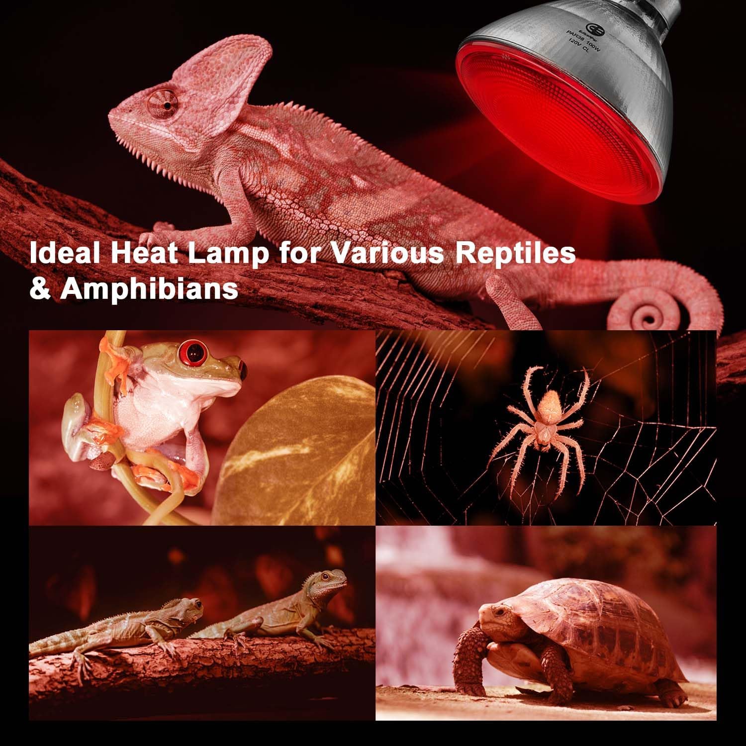Red Heat Lamp Infrared Light for Reptiles Tanks, Chickens, Food Service, Brooder Bulb, Pet, Bathroom, Light Therapy, 100-Watt, 6-Pack