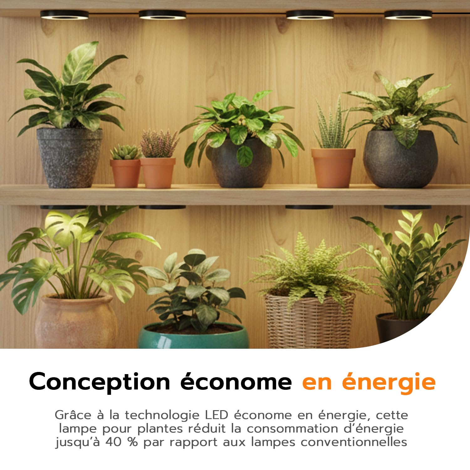 Wigearss Lámpara para Plantas, 4 Lampes LED de Croissance à Spectre Complet, Minuterie 3H/9H/12H, 3 Modes d'éclairage et 10 Niveaux de Luminosité pour Petites Plantes d'Intérieur et d'Extérieur