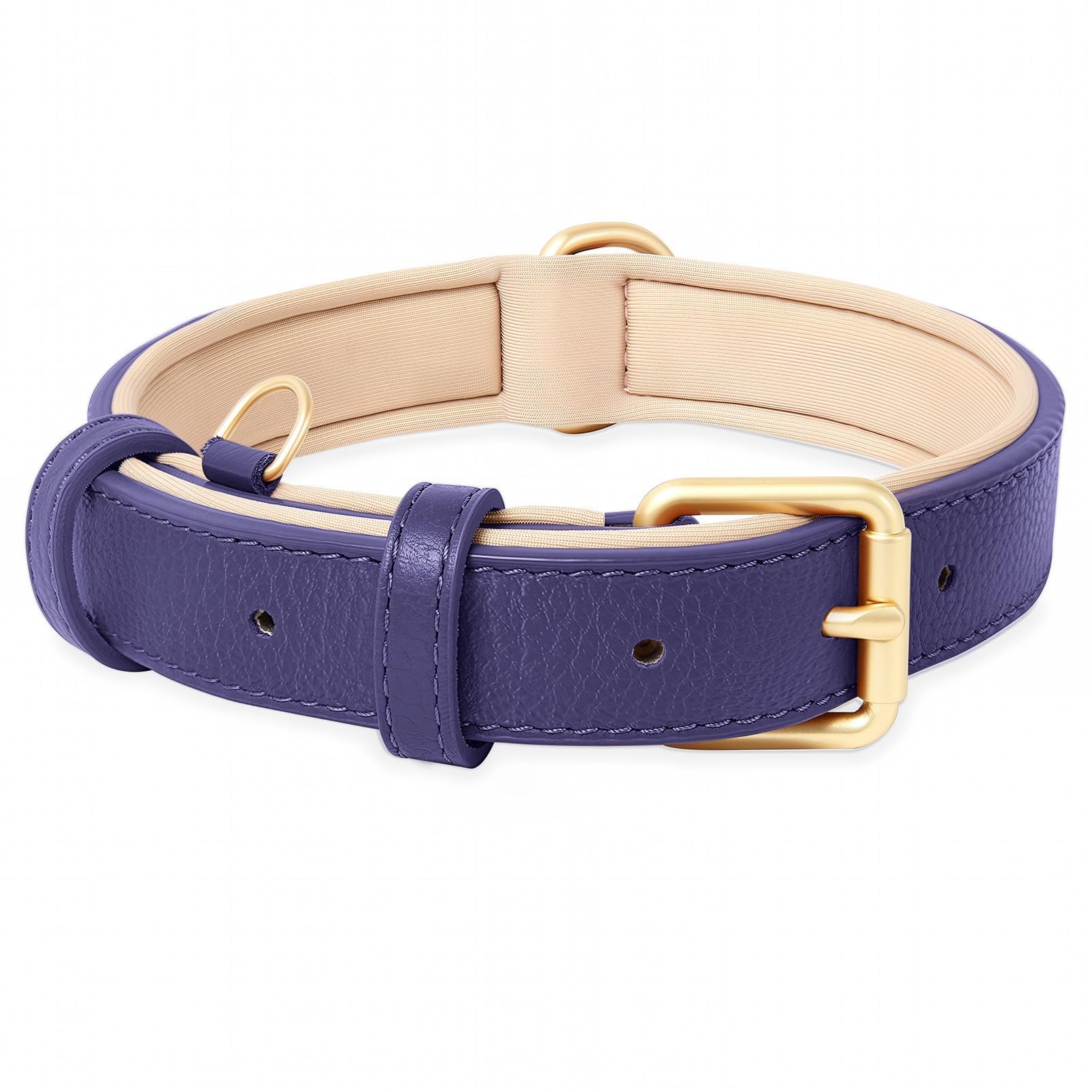 HEELE Hundehalsband Leder, mit Weich Gepolstert Verstellbar | Hunde Halsband Echtes Leder, Halsband für Welpen Kleine Mittel Große Hunde