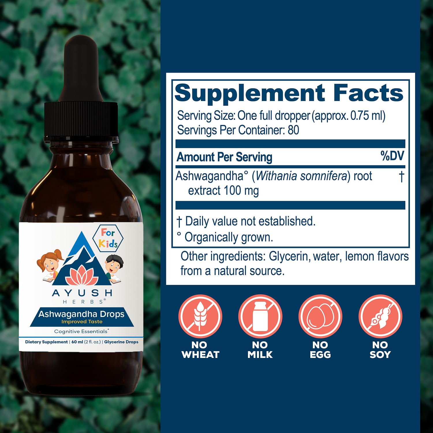 Ayush Herbs Ashwagandha Drops for Kids & Adults, 2 Fl Oz (80 Servings) — Amazon image 3