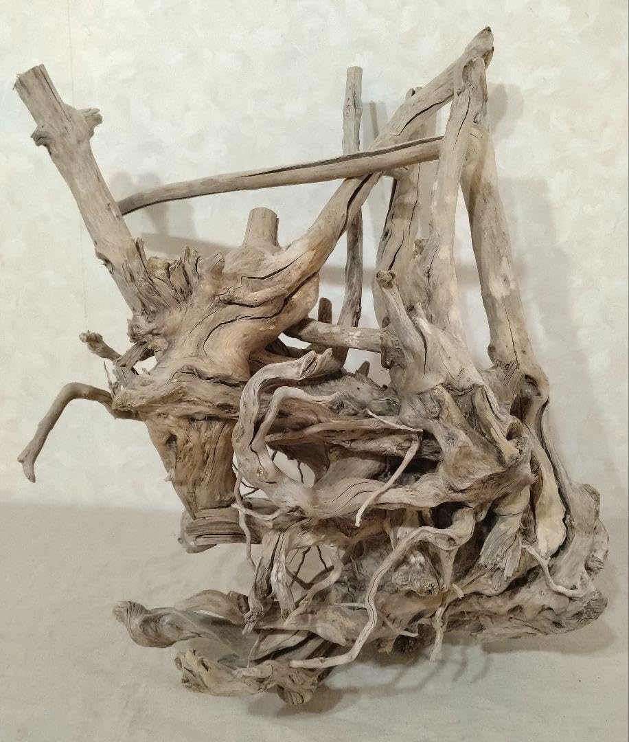 希少】DIY・アクアリウム向け ウッド（約65cm）