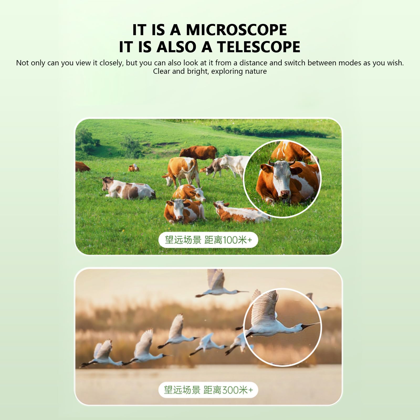 Ensemble D'instruments De Lunettes De Terrain Pour Avec Enregistrement 720P L'ensemble Scientifique Éducatif Comprend Une Plate-forme D'observation Pour Les Entreprises STEM Instrument STEM