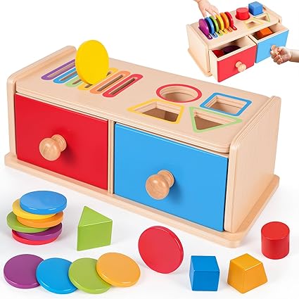 Montessori Toys for 1 2 Years Old Boys Girls, Montessori Coin Box Wooden Color Sorting Toys Travel Toddler Sensory Toys for 1 2 Year Olds Baby Birthday Gifts for 1-2 Year Olds Boys Girls Toys Age 1-2