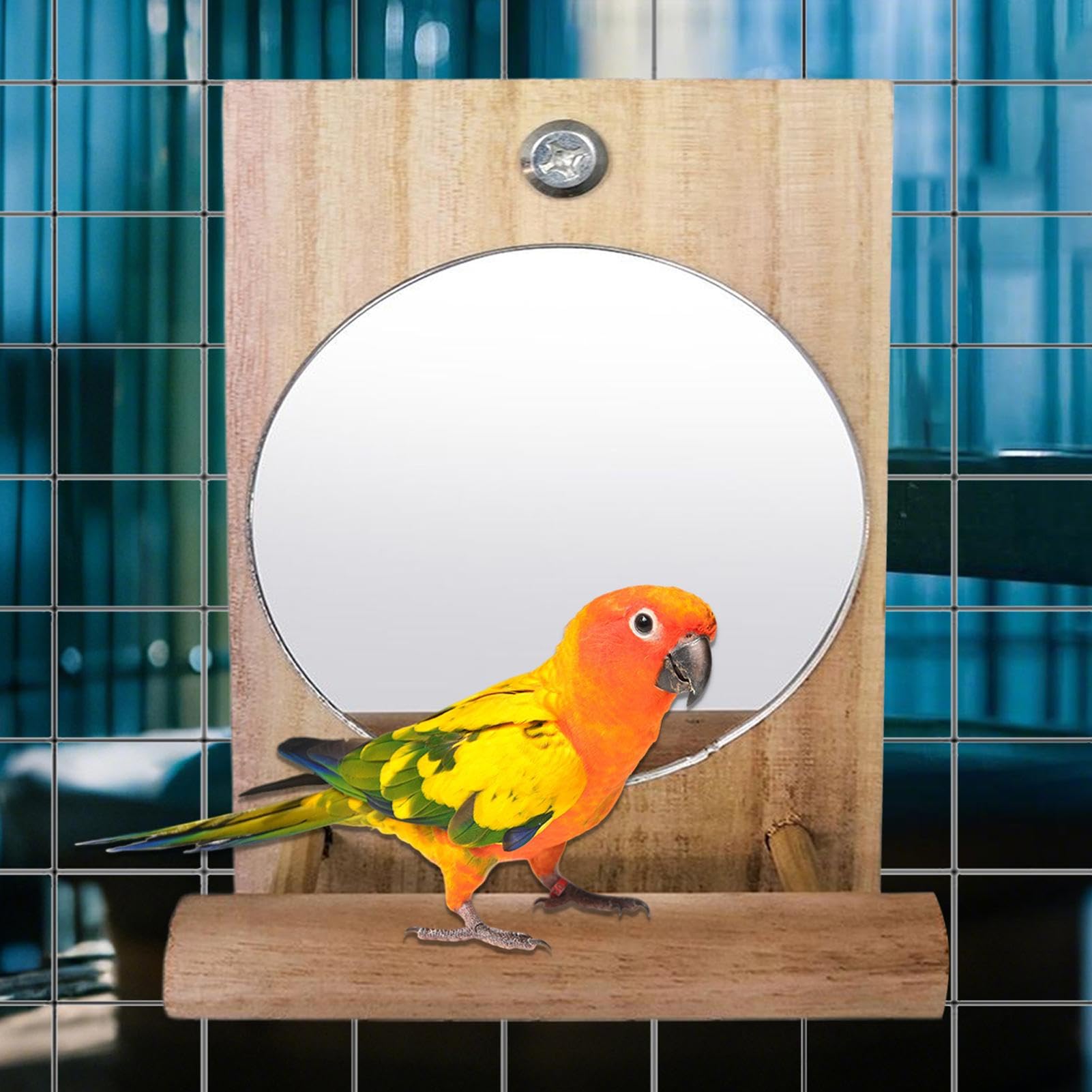 Amazon | Parlayildiz バードミラー | 鳥用止まり木と鏡のオウム