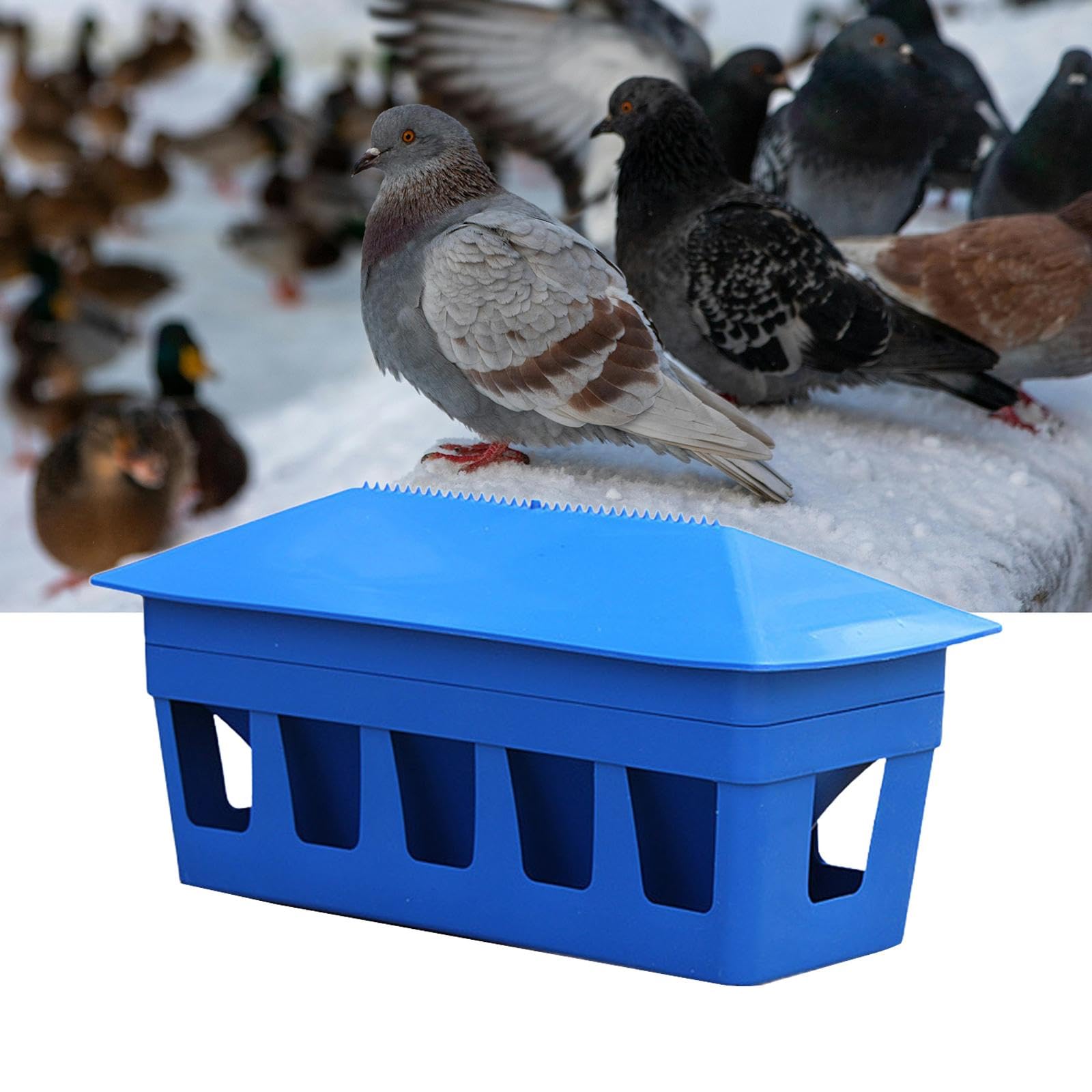 Sharplace Mangeoire à Pigeons, Distributeur d'alimentation pour Poulets, Seau d'alimentation Automatique pour Oiseaux, conteneurs