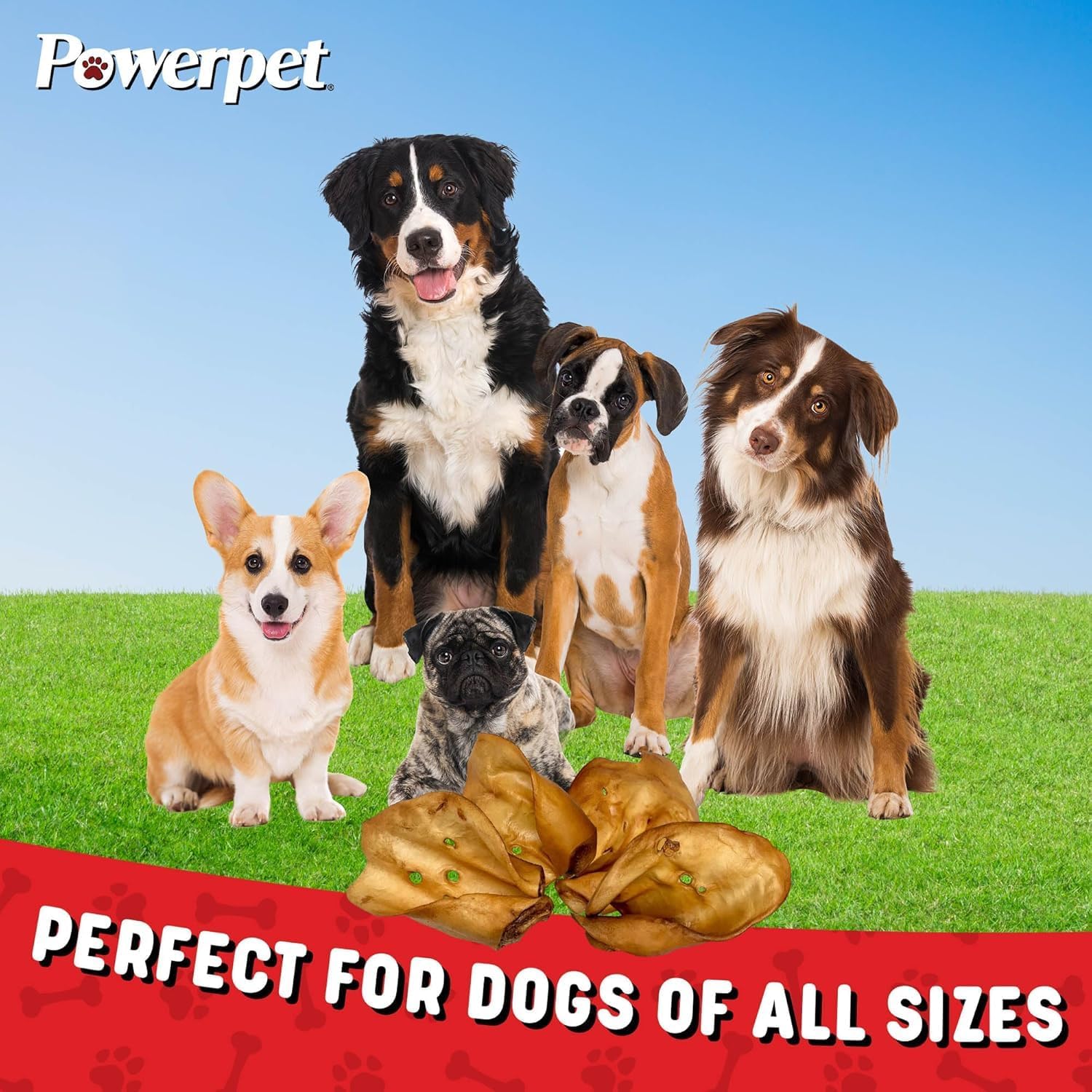 Powerpet Natural Cow Ears for Dogs - Premium Quality Treats, Low Fat, High Protein, Long-Lasting Chews - 100% Digestion - Healthy & Clean Teeth & Gums - All Breed Size - Smoked Beef Flavor, Pack of 25