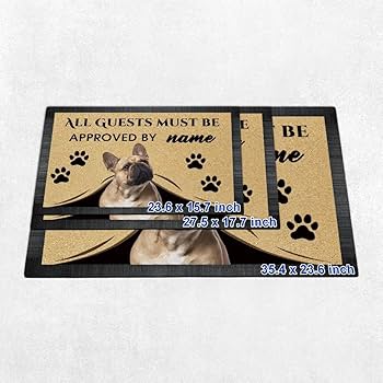 71HMW4Z0OYL._AC_UF350,