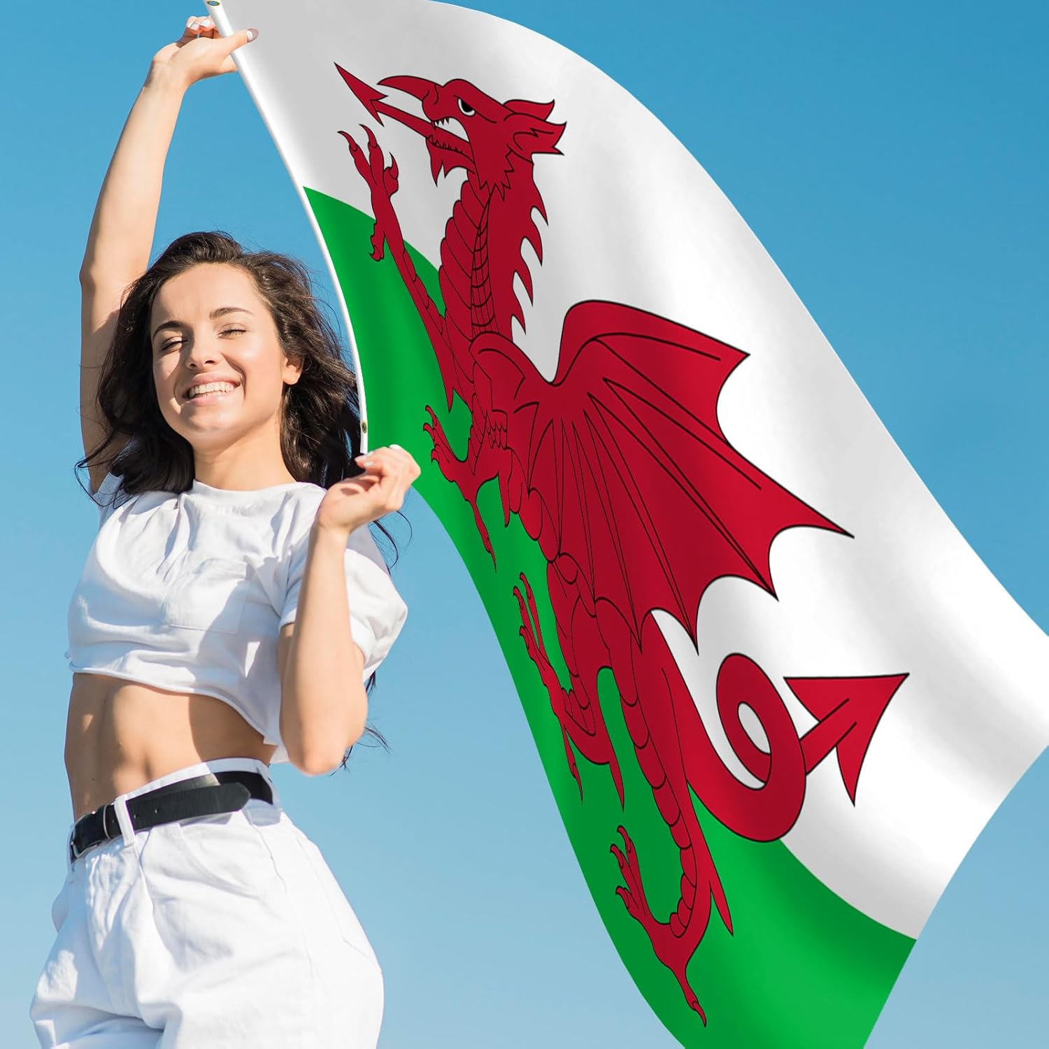 Wales Flag 3x5 FT Heavy Duty Welsh Flag Double Stitched Vivid Color Fade Proof Outdoor Decor With Brass Grommets(Wales) - Image 6