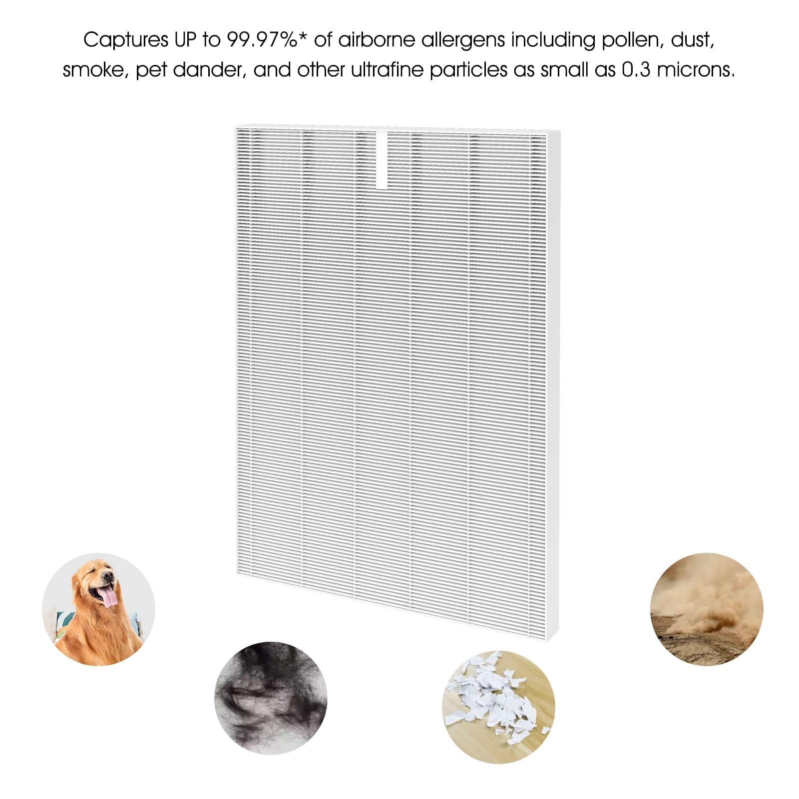 HR900 - Filtro de repuesto compatible con Winix HR900 Ultimate Pet Air Purifier, H13 True Hepa Fil ter número de pieza 1712-0093-00 FilterT (paquete de 3 HEPA)