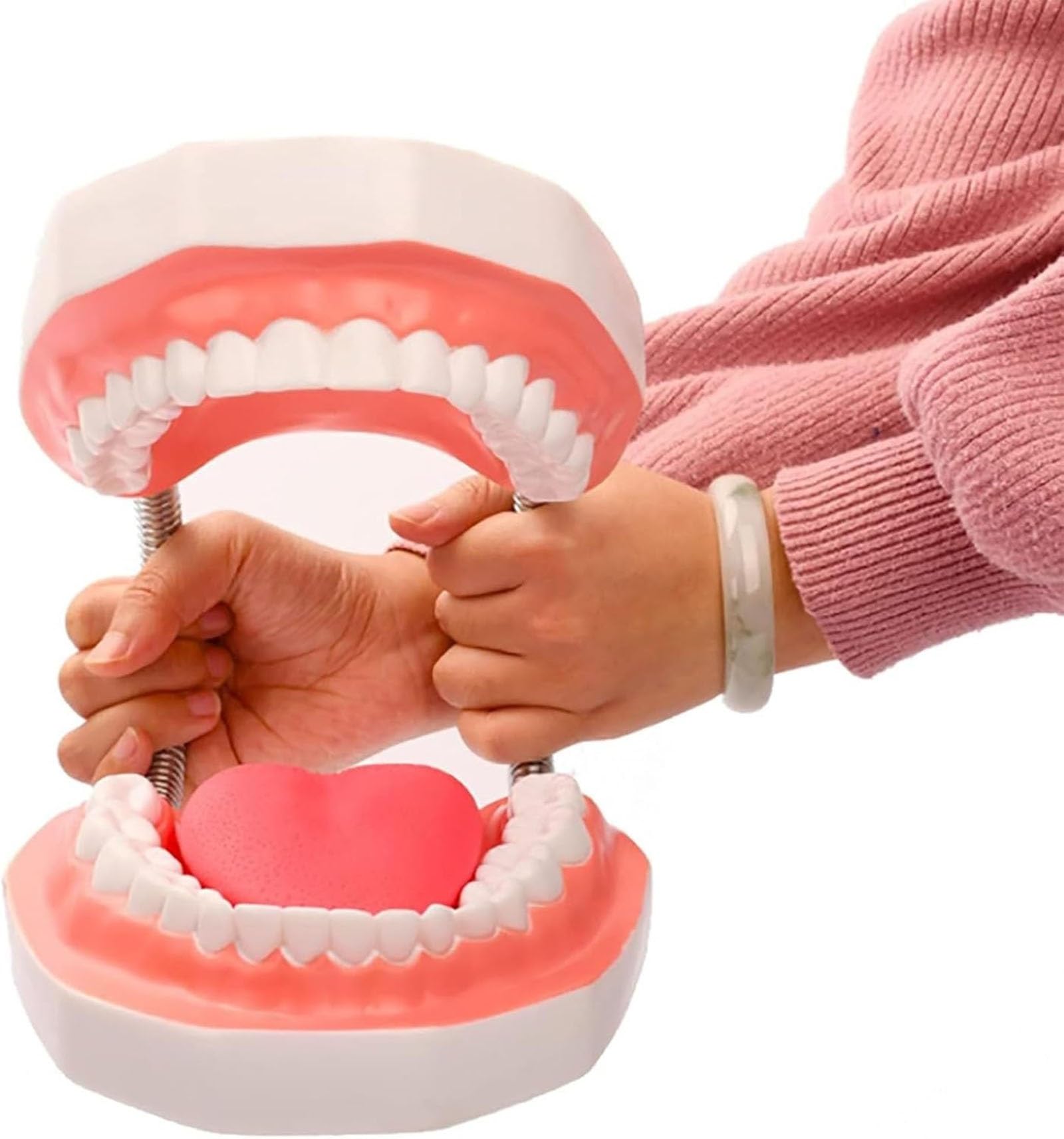 Dental-Demonstration, 6-Fach vergrößertes Zahnmodell mit Abnehmbarer Zungenbürste für Kinder und zahnärztliches Mundpflege-Lehrmodell