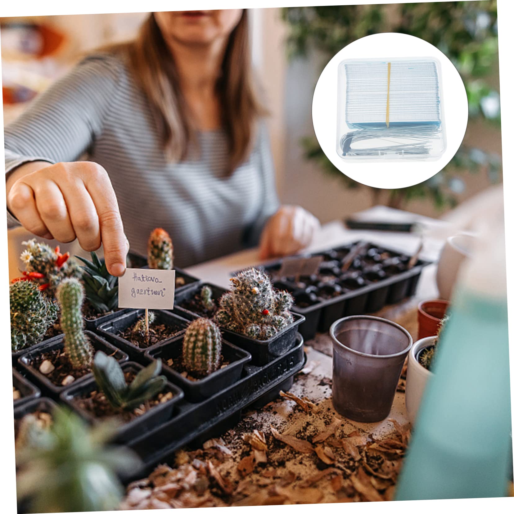 Toyvian Pflanzschilder Aus Hochwertigem Material Gartenstecker Für Pflanzenetiketten Praktische Namensschilder Für Pflanzen Pflanzensteckstecker Für Gartenpflanzenmarkierungen