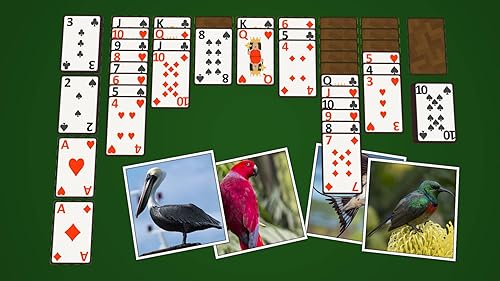 Solitaire Birds TV