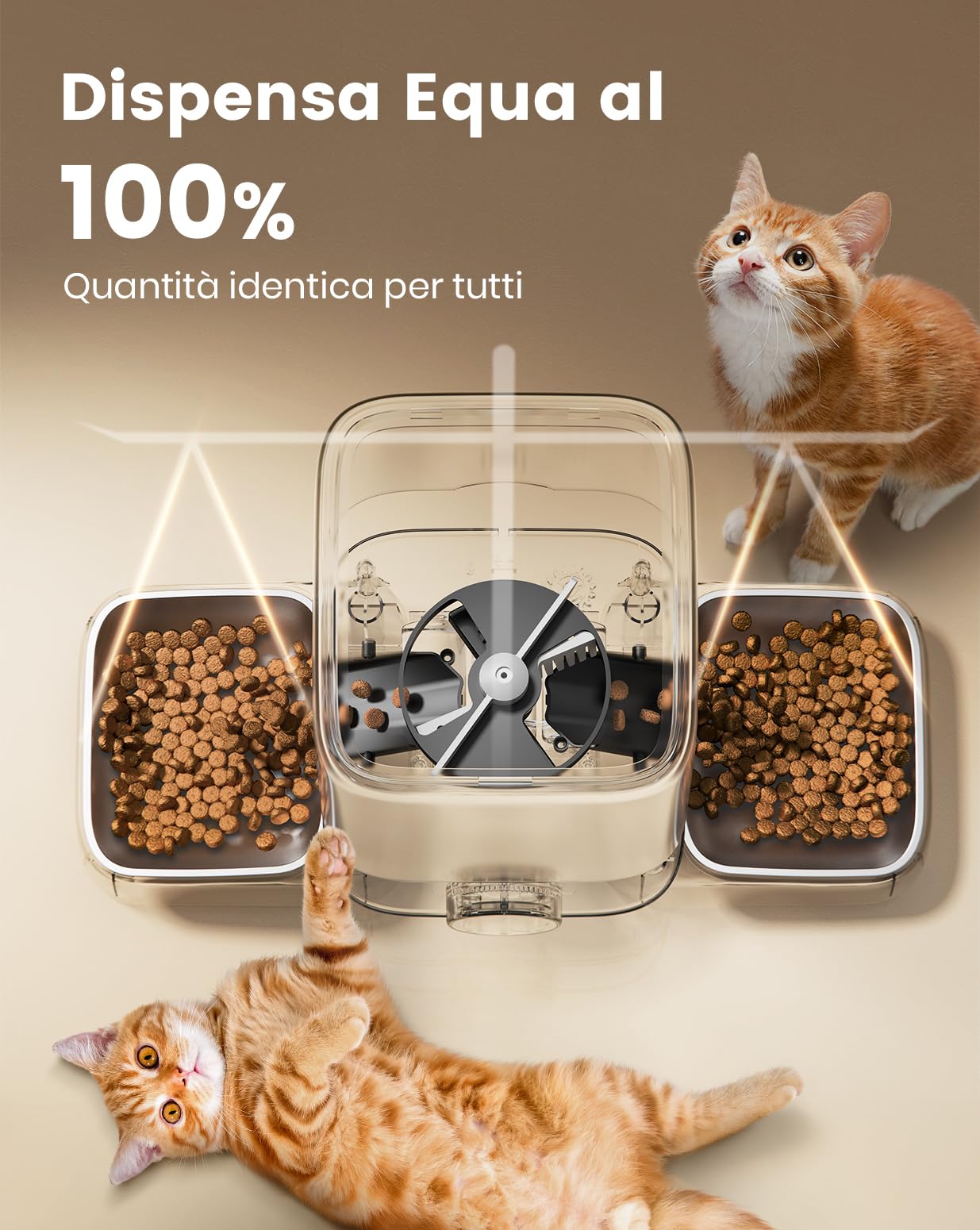 Oneisall Distributore Automatico di Crocchette Standard, 5L per 2 Gatti, per Cibo Secco, Ciotola in Acciaio Inox 304, Programmabile 1-6 Pasti al Giorno per Cani e Gatti, Nero