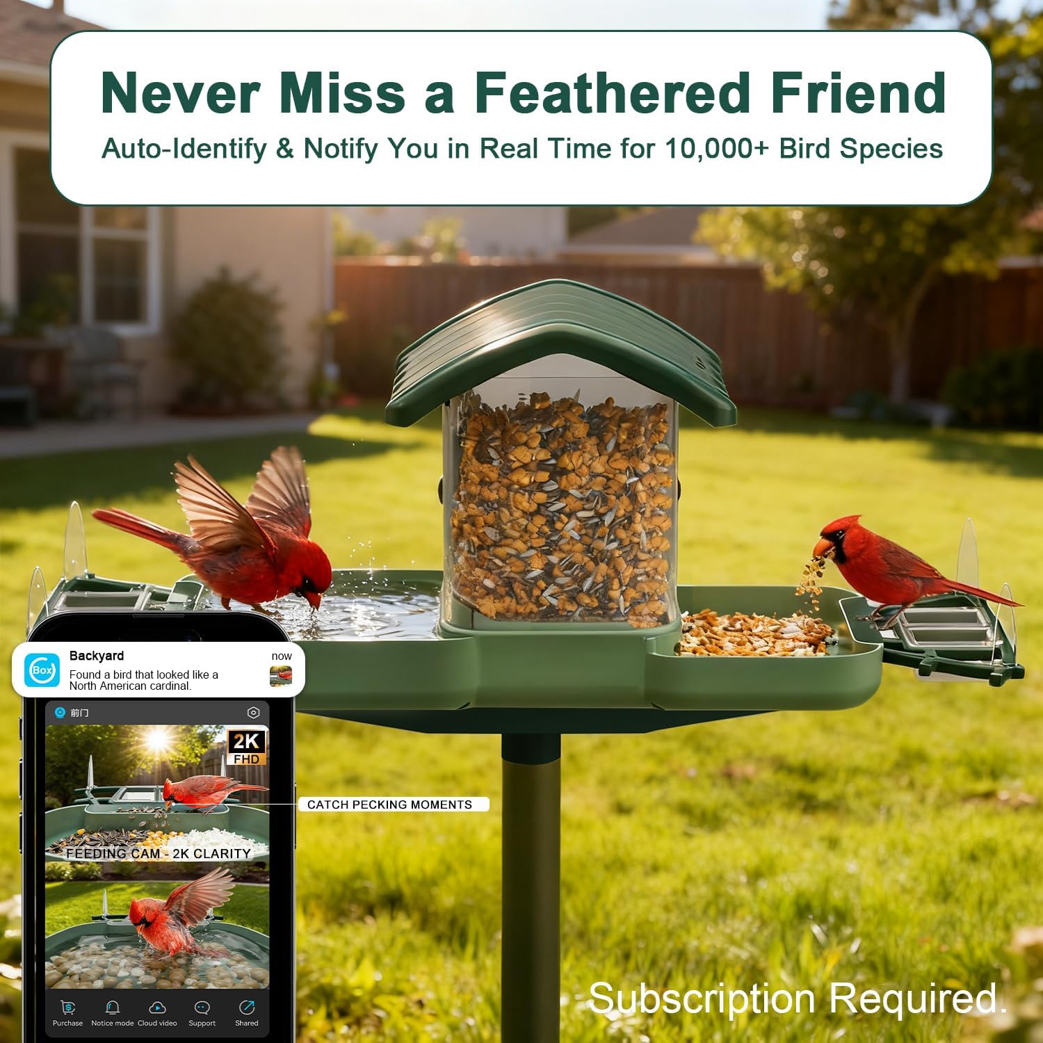Dual-Lens Smart Bird Feeder with Camera & Bird Bath 2-in-1 Combo, 2K HD Video Real-Time View & Motion Playback, Waterproof, Solar Powered, AI Recognition, Auto Capture, Ideal Gift & Backyard Decor - Image 2