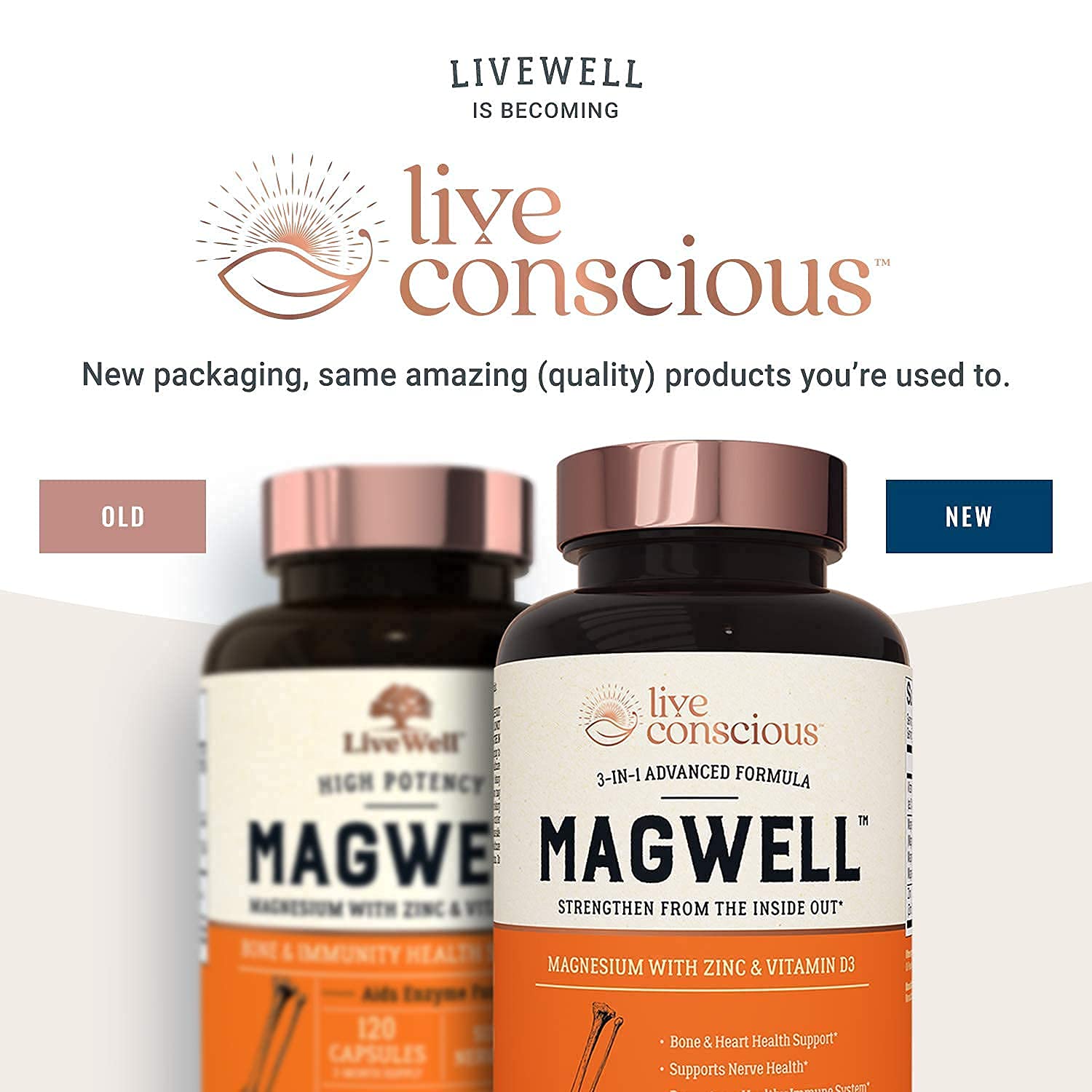 Magnesium Zinc & Vitamin D3 Most Bioavailable Forms of Magnesium