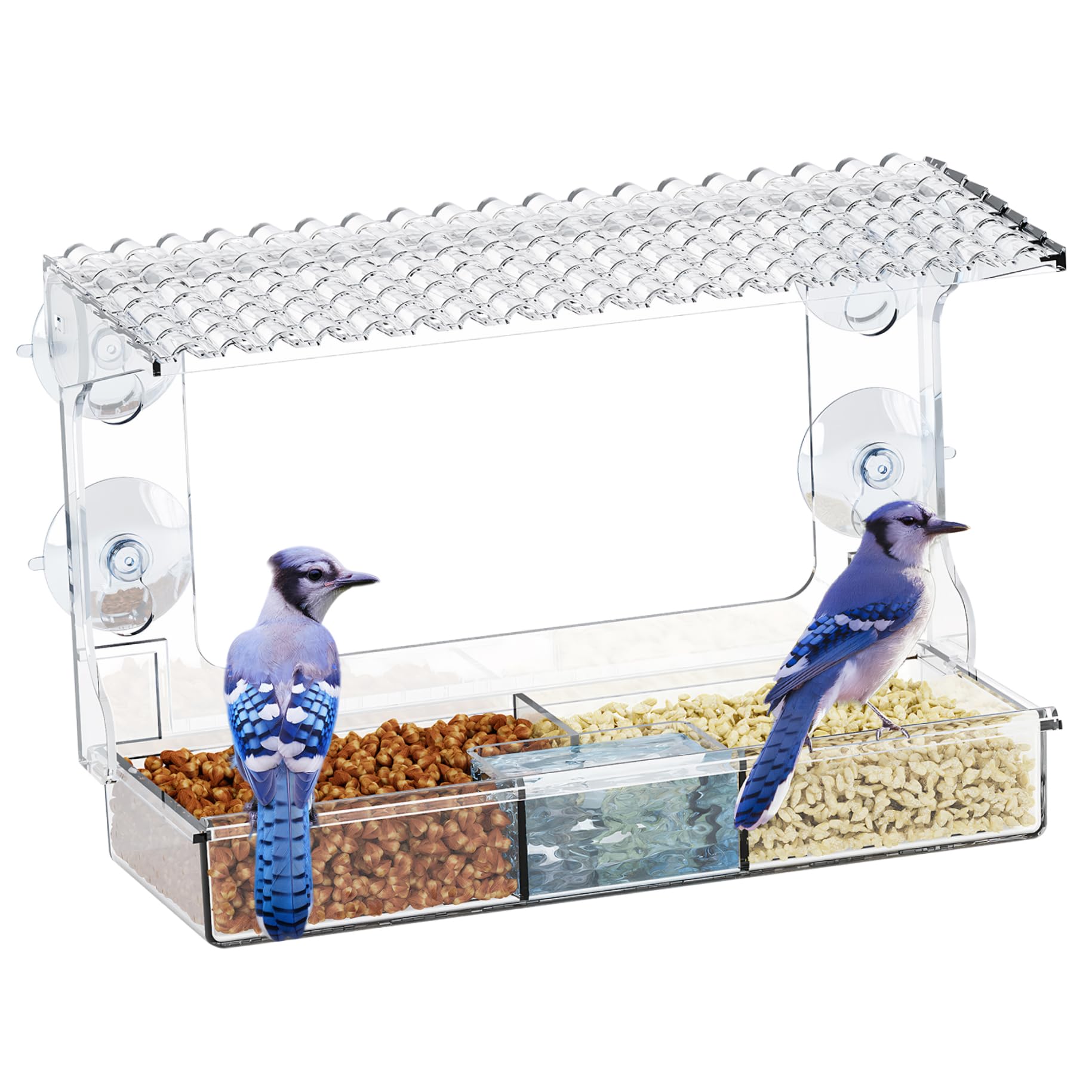 Mangeoire à oiseaux de fenêtre avec ventouses fortes pour extérieur