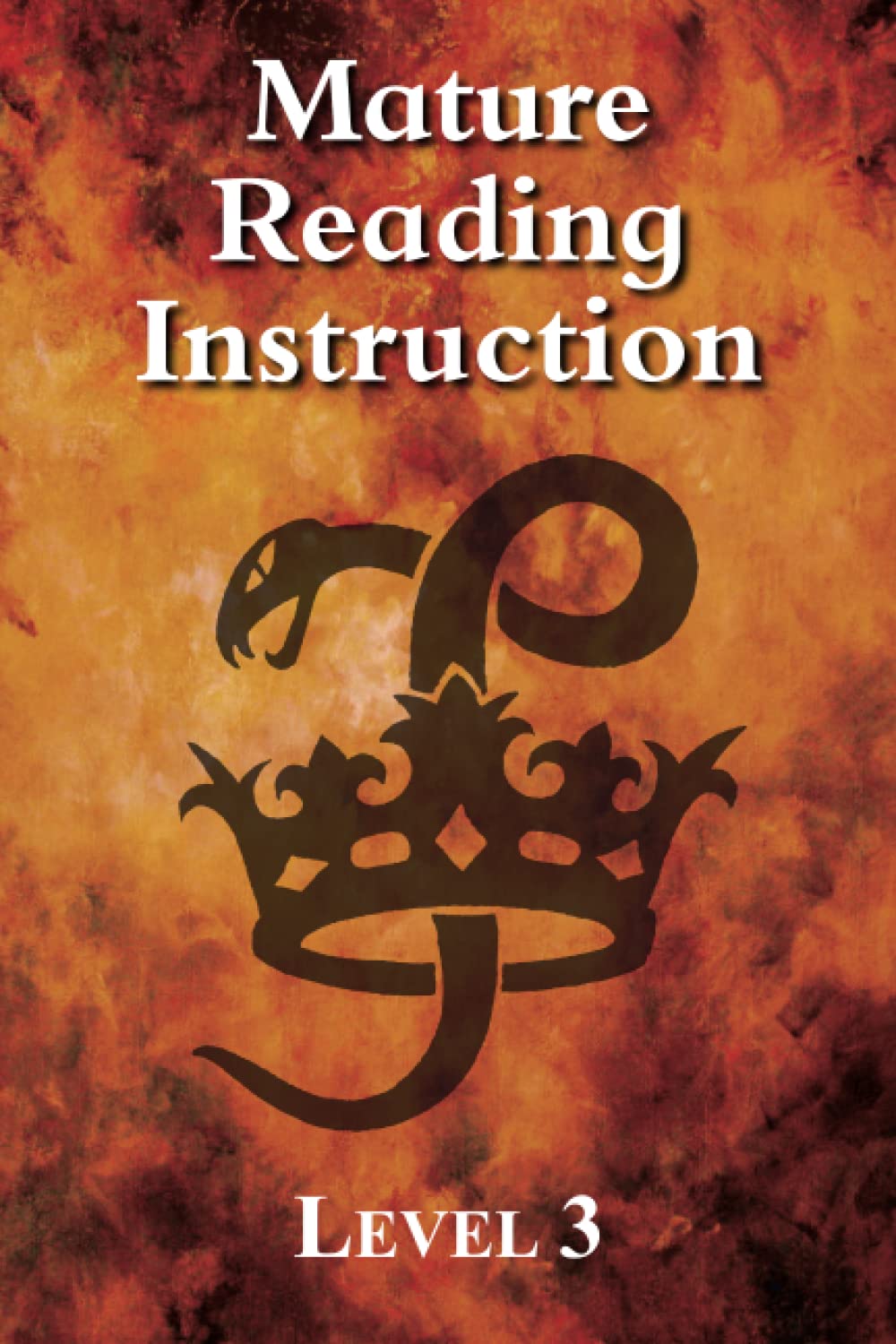 Mature Reading Instruction Level 3: Literacy for Older Students (Mature Reading Instruction (MRI))