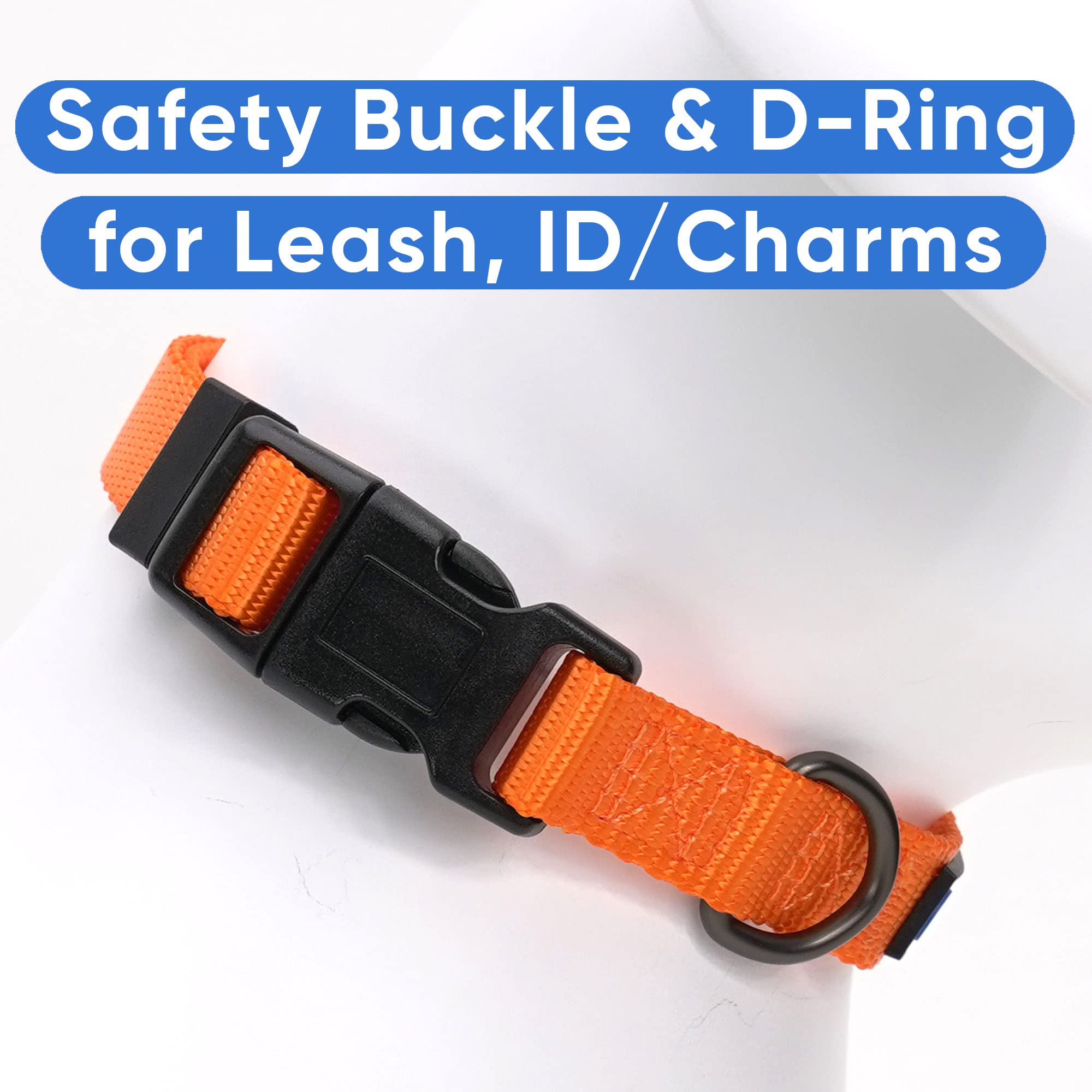 PAWTITAS Pawtitas Dog Collar Extra Small Solid Color Dog Collar Adjustable Puppy Collar Orange Dog Collar Matching Dog Leash and Dog Harness Available in use
