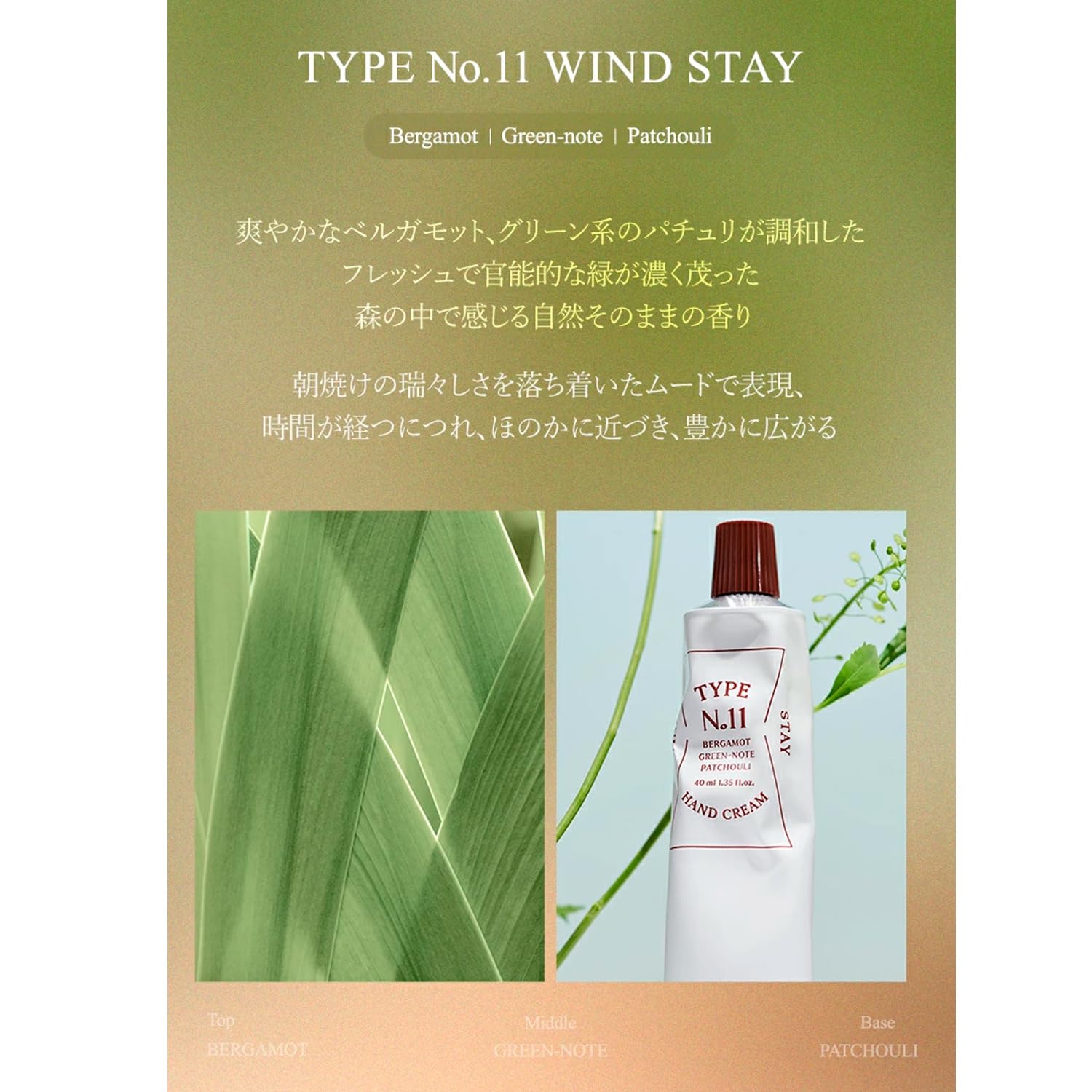 Amazon.co.jp: 【 TYPE No. 】 タイプナンバー No.11 WIND STAY