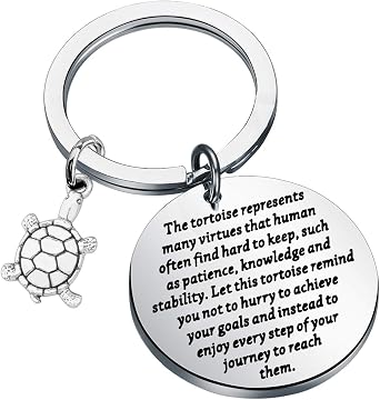 ENSIANTH Tortoise Keychain Tortoise Lover Gift Turtle Keychain Inspirational Gift for Friend
