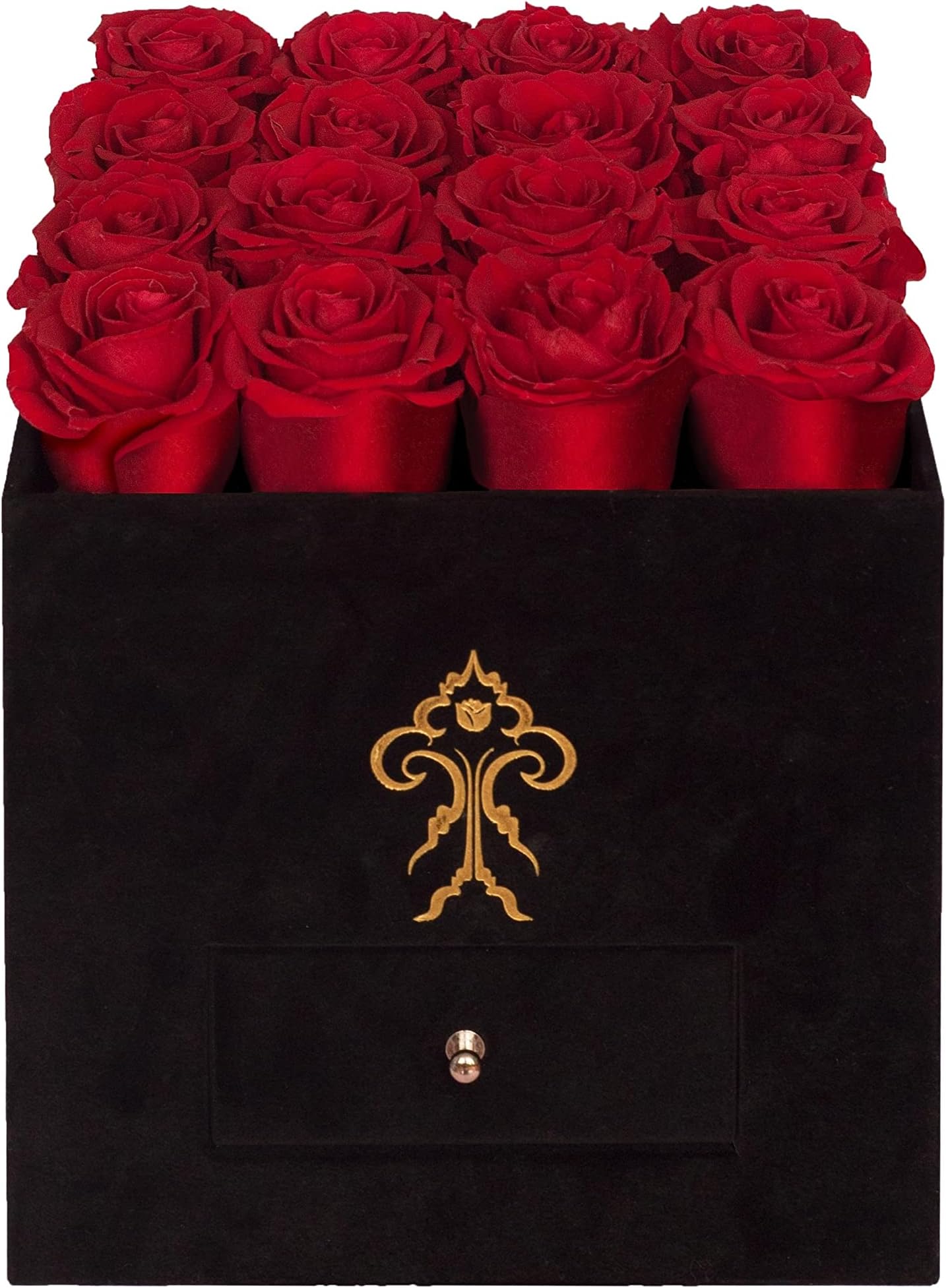 Model Posh: Medium Black Box