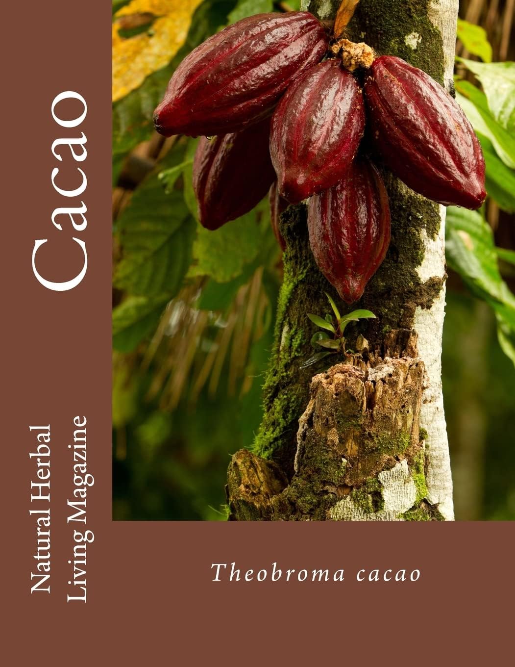 Cacao Paperback – February 1, 2015