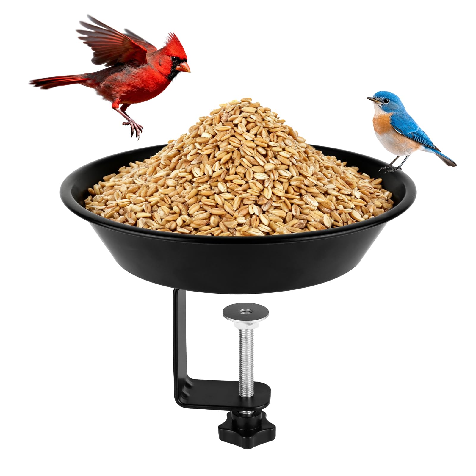 Photo 1 of Balcony Bird Feeder for Deck Railing, Mounted with Seed Tray, Black
