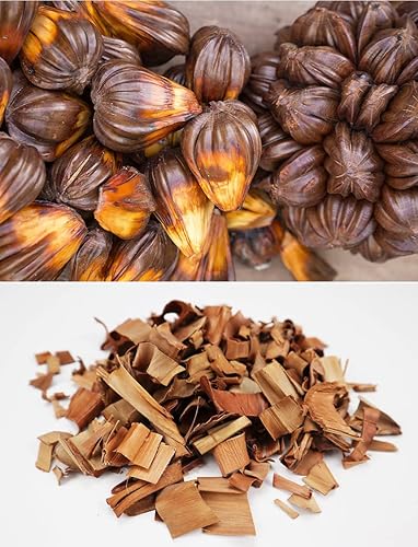 Miniatura 2 de Brote de flor de palma Nipa natural orgánico puro - 3.52 onzas (3.53 oz)