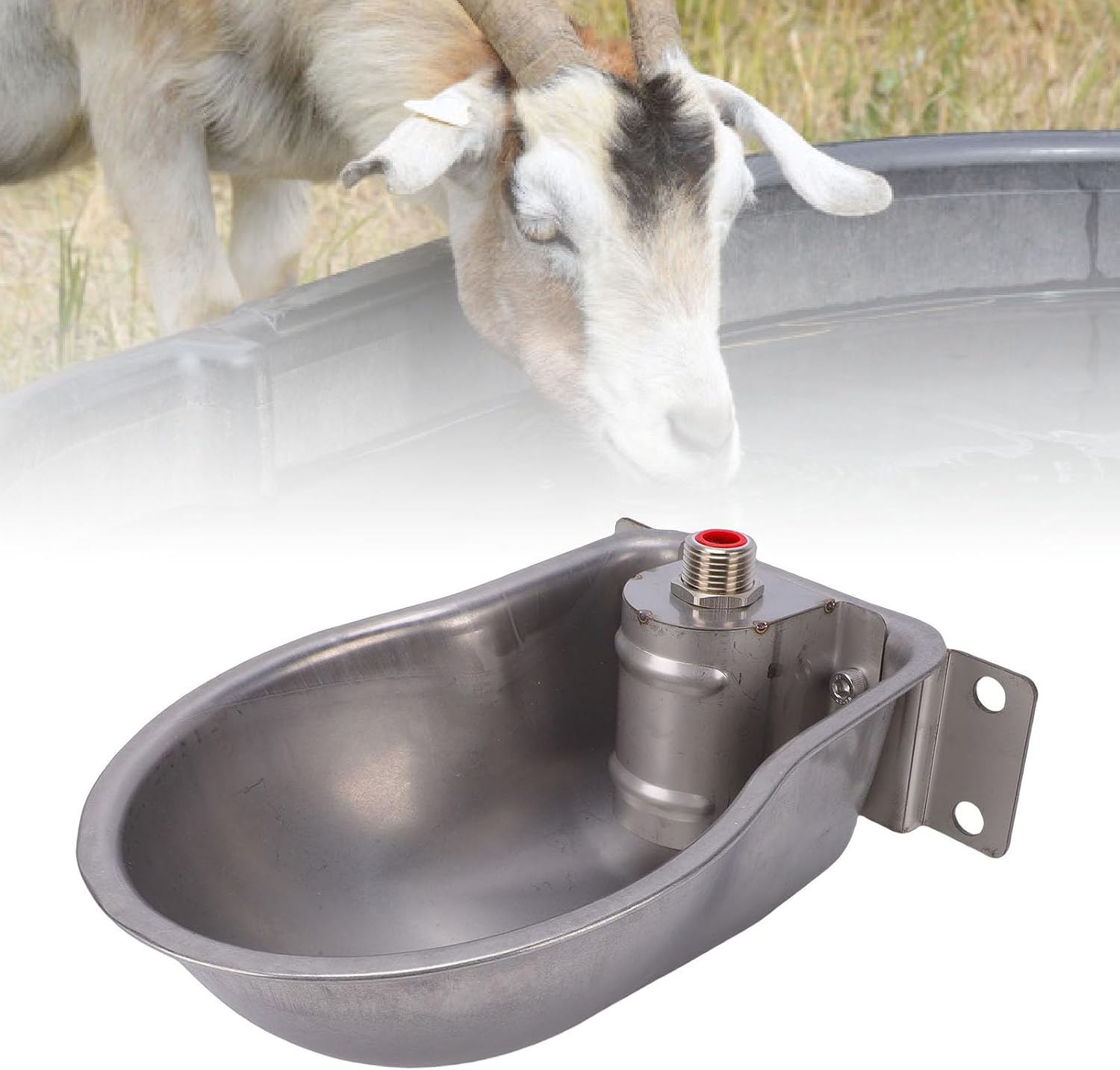 Automatic Cow Water Bowl Stainless Steel Livestock Waterer for Sheep Goat Calf with Self Replenishing Design