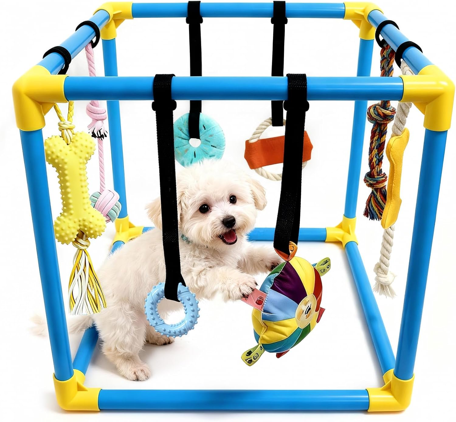 Puppy Play Gym with 8 Hanging Toys - Indoor Jungle Gym for Small Dogs, Interactive Enrichment Activity Center for Puppies, 19.5" PVC Frame with Teething Squeaky Toys to Keep Them Busy