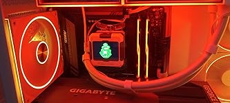 Review Image by Cosmic Cactus