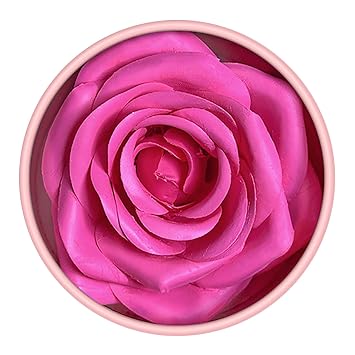 Blusher 3D Rose Face Powder Lightweight Long-lasting Blusher Cheek Makeup for Women High Glossy Finish 02