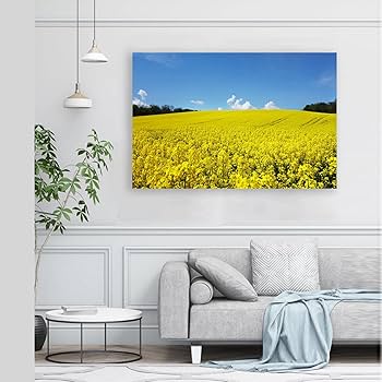 風景画 黄色の家 風景画 黄色の家